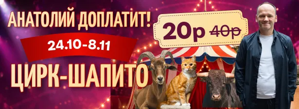 Цирк 13 метров